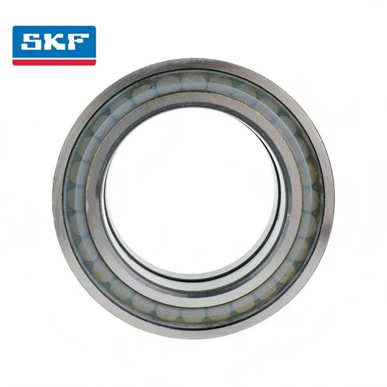 Double Row Cylindrical Roller Bearing Nu220-Ec P-C3 for Heavy Industry Machinery