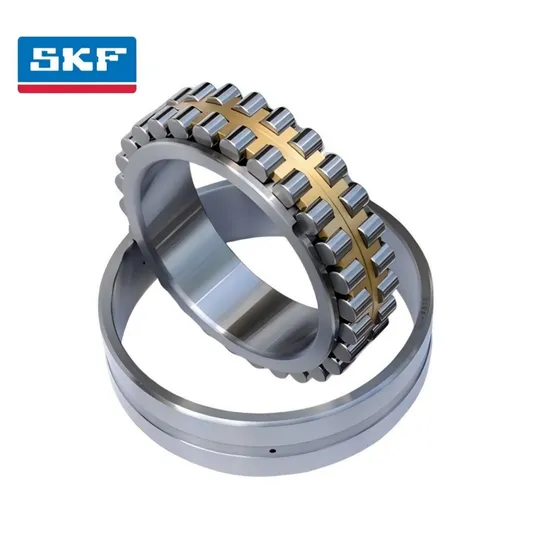 Vibration Resistant Double Row Cylindrical Roller Bearing for Industrial Transmission Nu2207 Ec J/C3